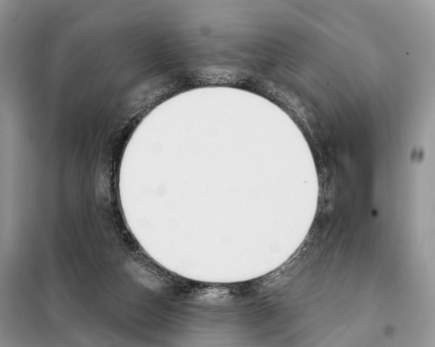 X0000098090162200805021054