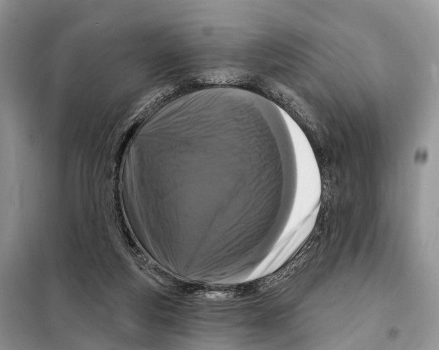 X0000098090163200805021054