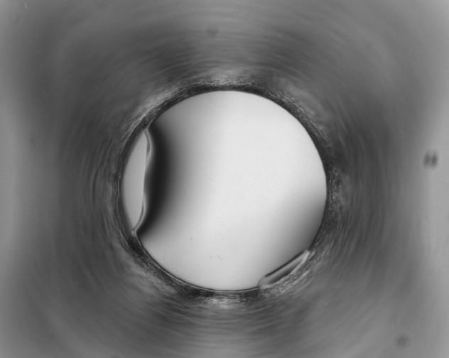 X0000098090164200805021054