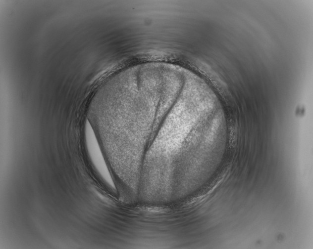 X0000098090165200805021054