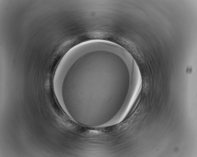 X0000098090167200805021054