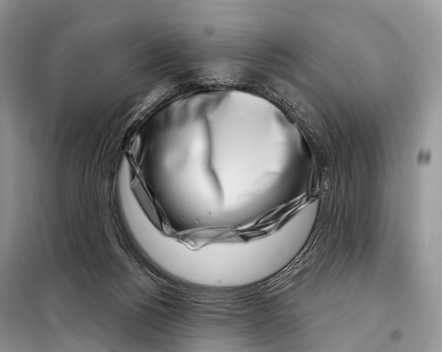 X0000098090168200805021054