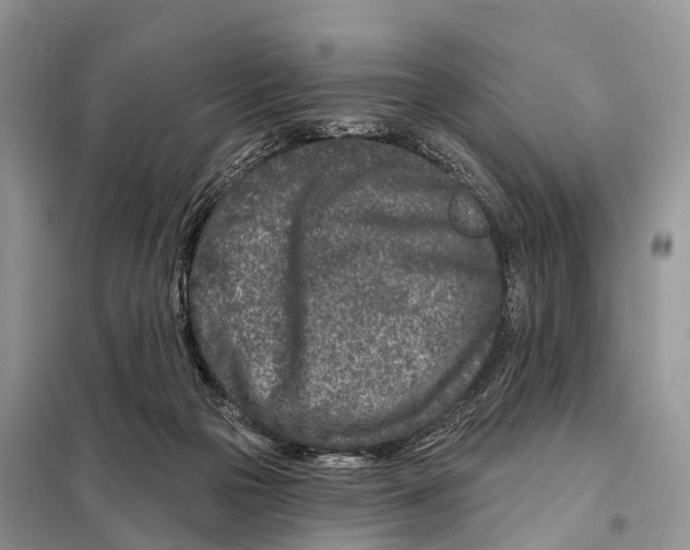 X0000098090169200805021054