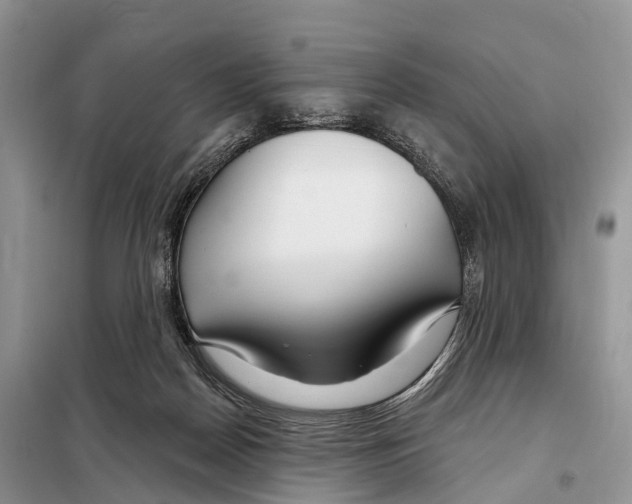 X0000098090170200805021054