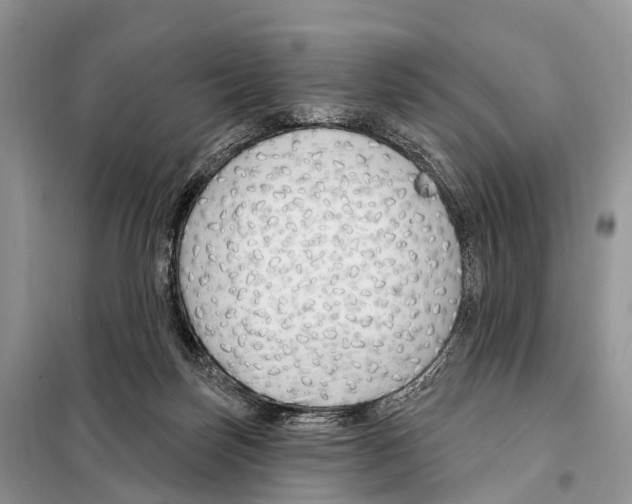 X0000098090171200805021054