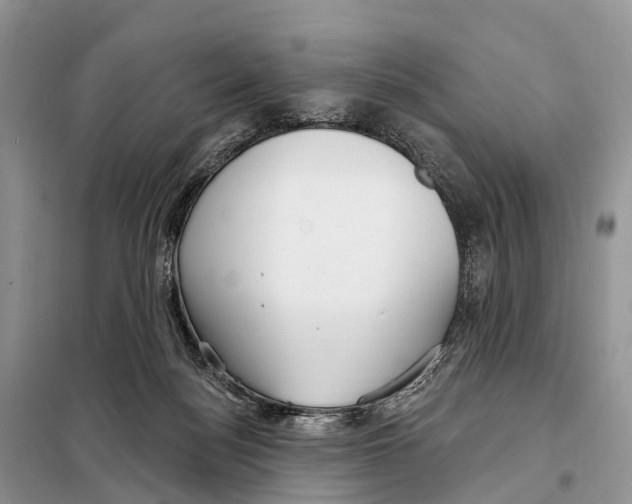 X0000098090172200805021054