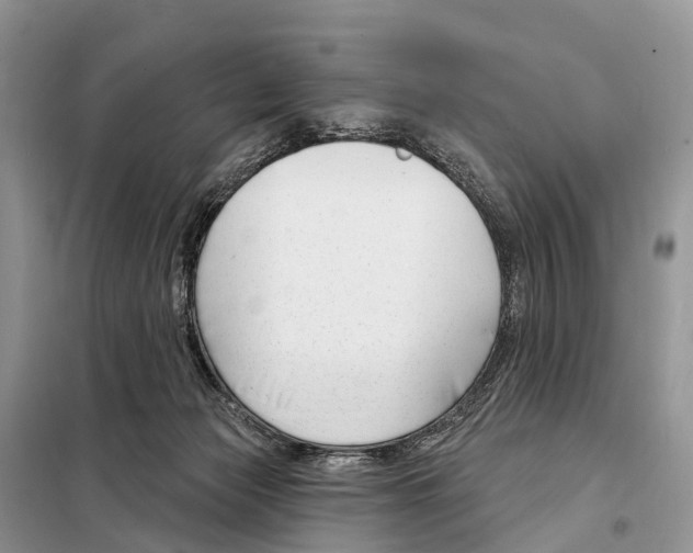 X0000098090173200805021054