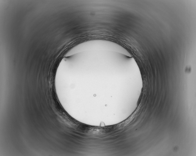 X0000098090174200805021054