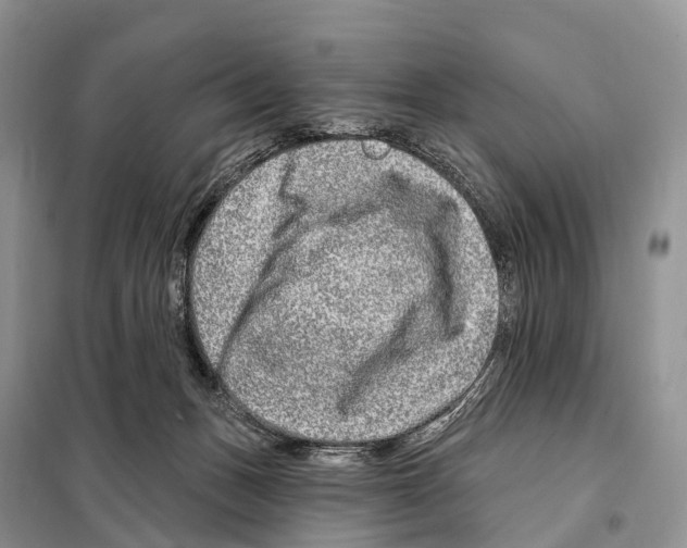 X0000098090175200805021054