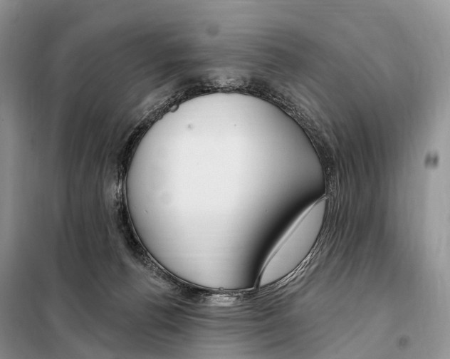 X0000098090176200805021054