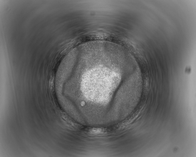 X0000098090177200805021054