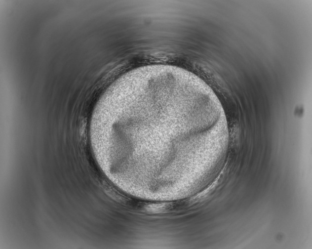 X0000098090178200805021054