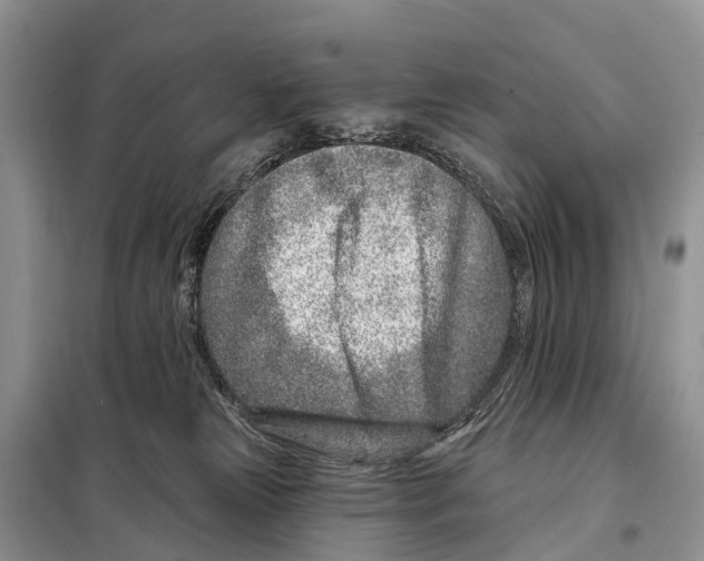 X0000098090181200805021054