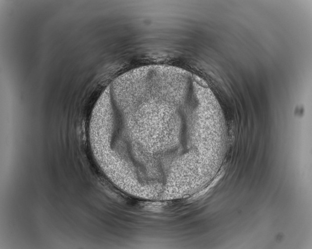 X0000098090182200805021054