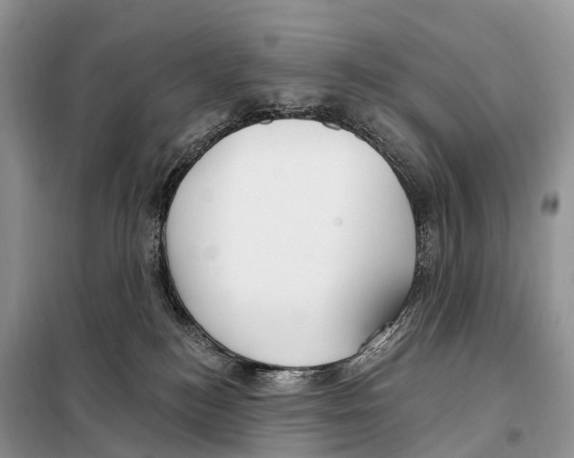 X0000098090184200805021054