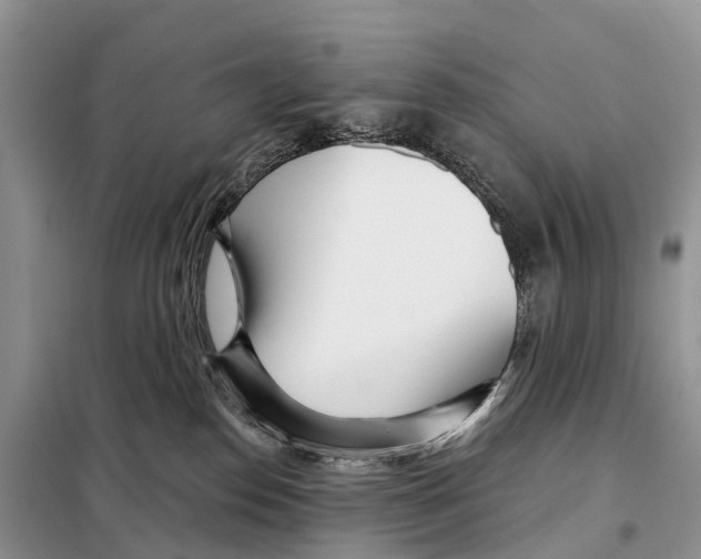 X0000098090186200805021055