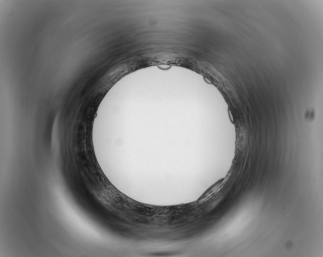 X0000098090191200805021055