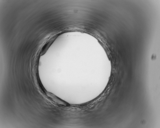 X0000098090193200805021054