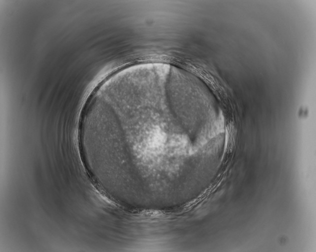 X0000098090195200805021054