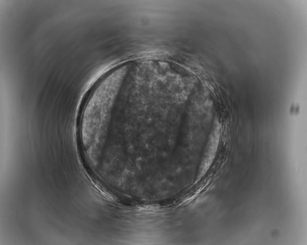 X0000098090196200805021054