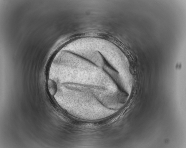 X0000098090198200805021054