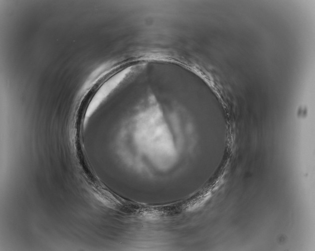 X0000098090199200805021054