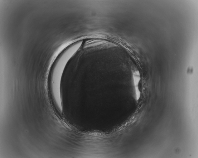 X0000098090200200805021054