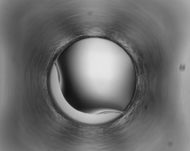 X0000098090201200805021054