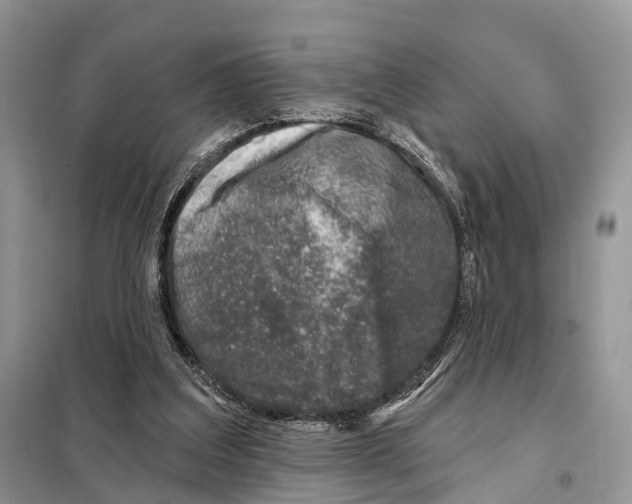 X0000098090203200805021054