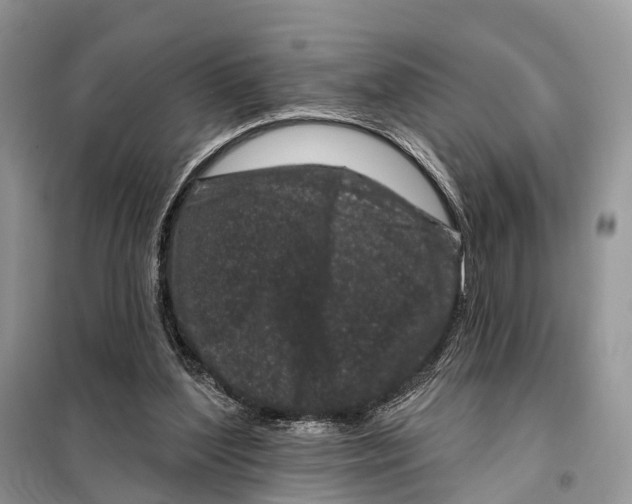 X0000098090204200805021054