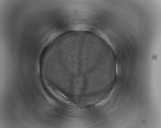 X0000098090205200805021054