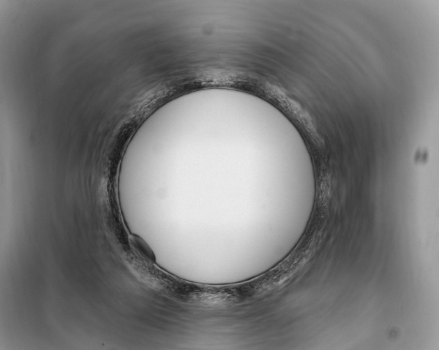 X0000098090209200805021054