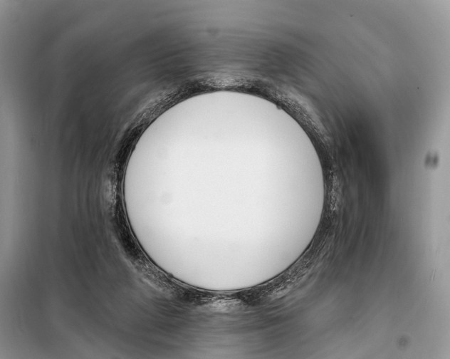 X0000098090210200805021054