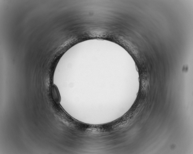 X0000098090211200805021054