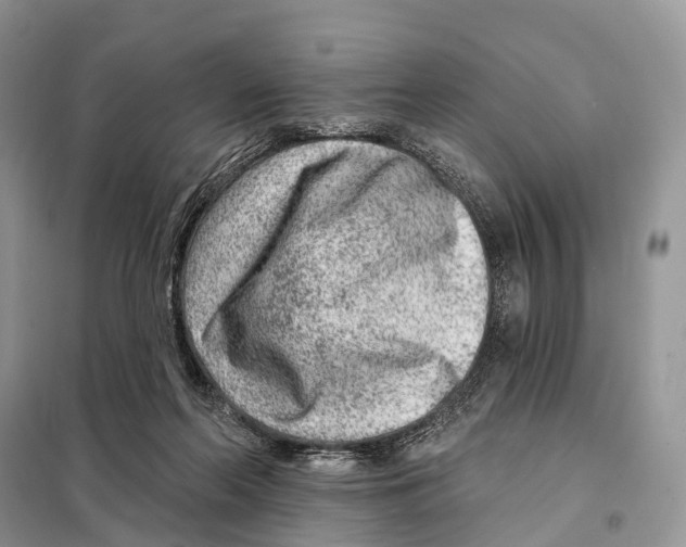 X0000098090214200805021054