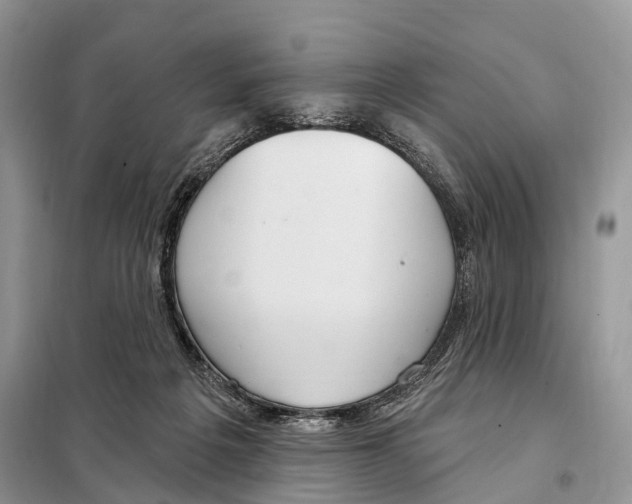 X0000098090217200805021054