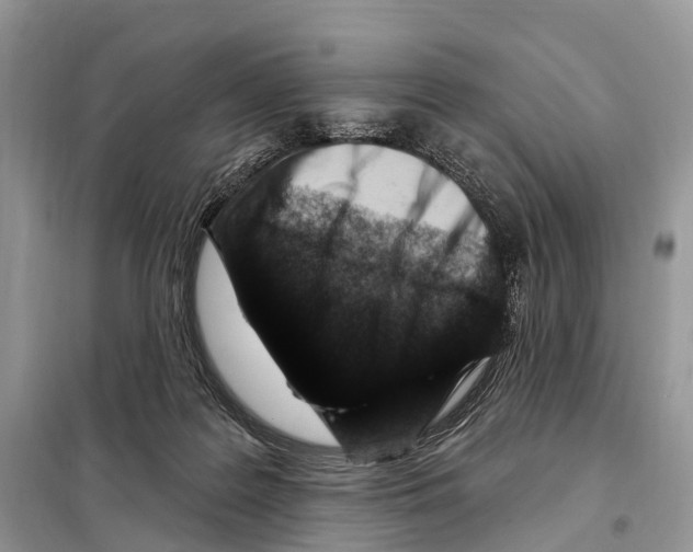 X0000098090219200805021054