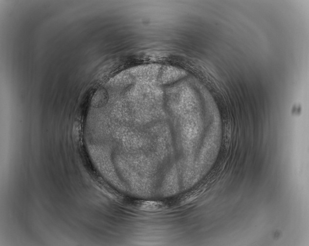 X0000098090222200805021054