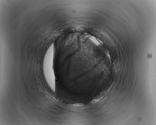 X0000098090223200805021054