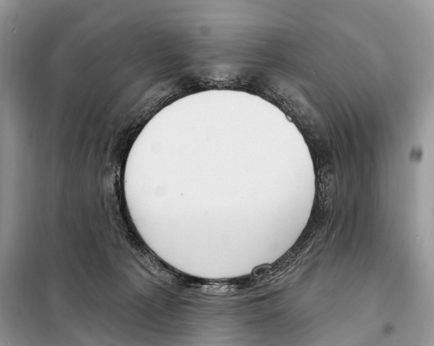 X0000098090225200805021053