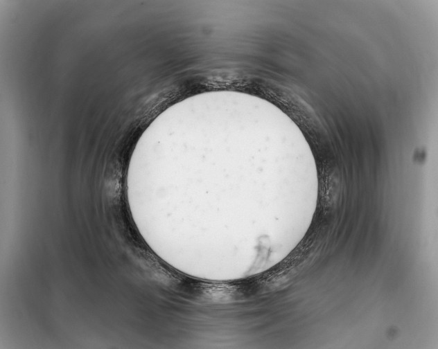 X0000098090226200805021053