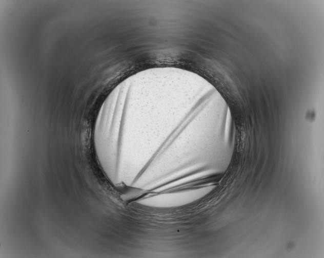 X0000098090228200805021053