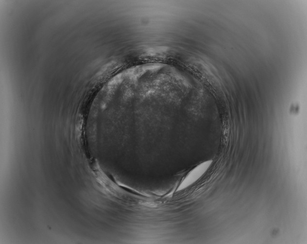 X0000098090231200805021053