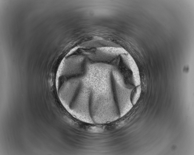 X0000098090232200805021053