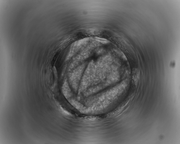 X0000098090235200805021053