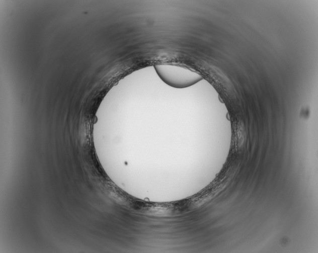 X0000098090236200805021053