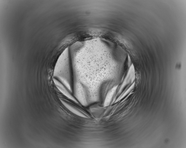 X0000098090237200805021053