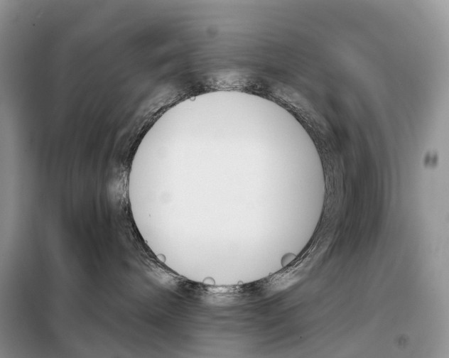 X0000098090240200805021053