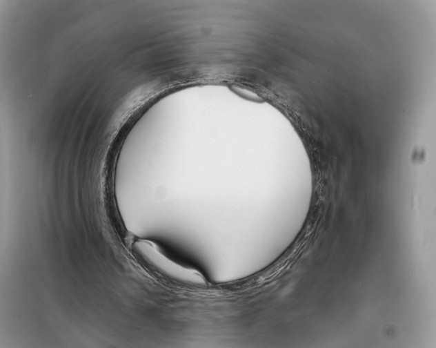 X0000098090242200805021052