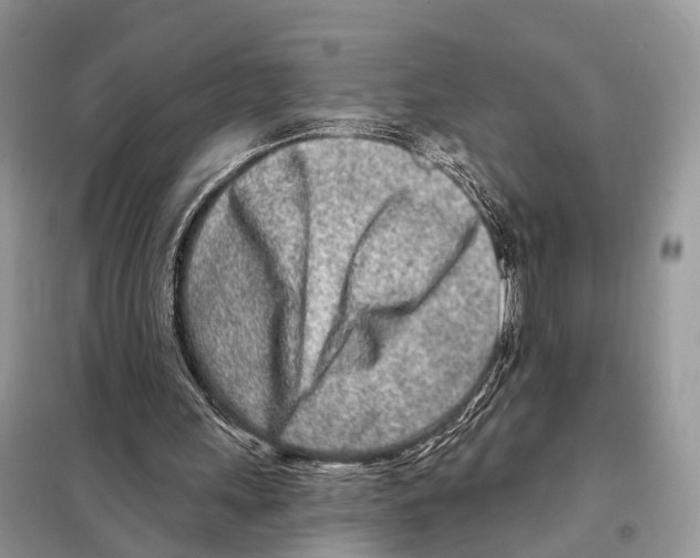 X0000098090243200805021052